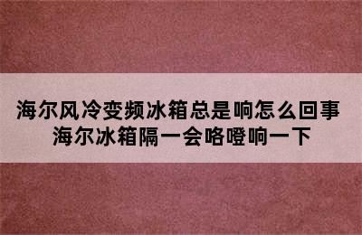 海尔风冷变频冰箱总是响怎么回事 海尔冰箱隔一会咯噔响一下